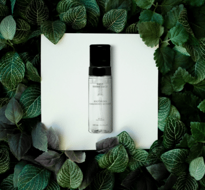 Vegan & fragrance free skincare from N.C.P. A transparent bottle with a black cap. Green leafs around the bottle, Soothing Cleansing Mousse